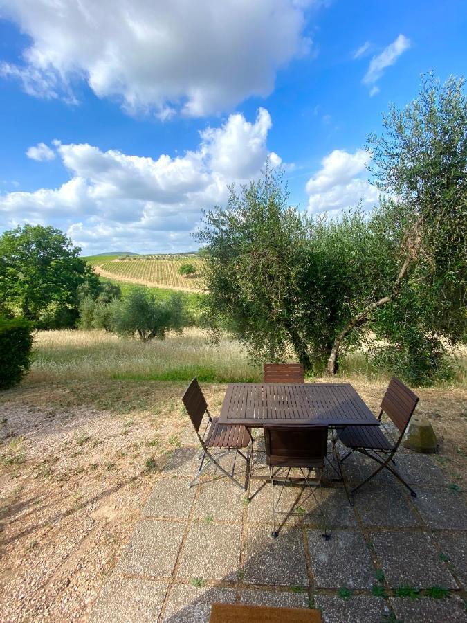Agriturismo “Sterrati” Valpiana (Grosseto) Exterior foto